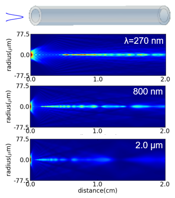 Intense Pulse Propagation in Gas-Filled Waveguides