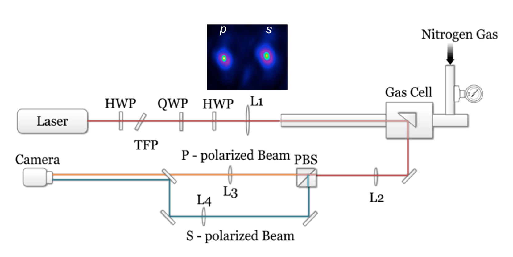 Loss of Polarization Experiment Setup