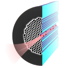 Rb_filled_PCF