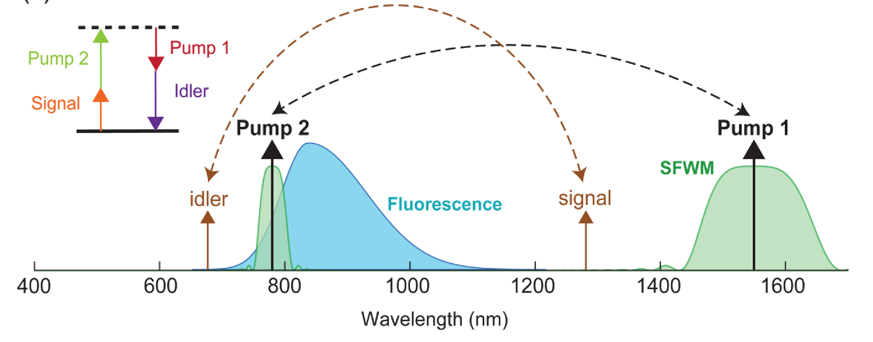 Depiction of the various noise sources in silicon nitride. Inset on left-hand sideshows the energy diagram for the BS-FWM process.